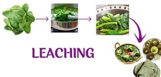 Leafy vegetables in CKD diet